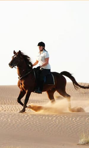 Horse Riding Dubai - be amazed with scenic view around the coast line or dunes while riding a horse in Dubai